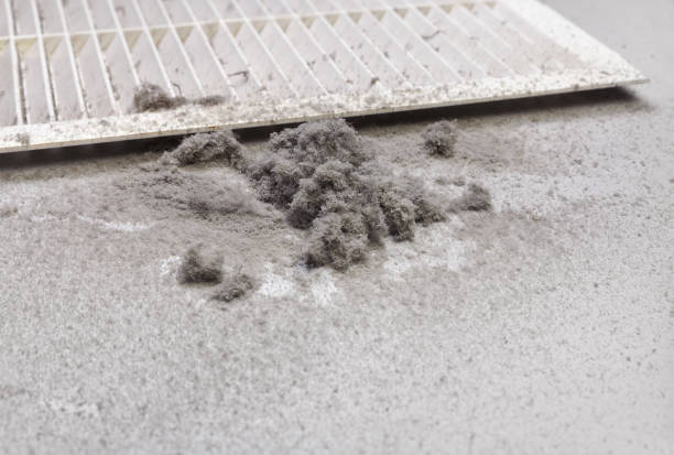 Best Residential Air Duct Cleaning  in Janesville, CA